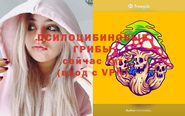 СК Алексеевка