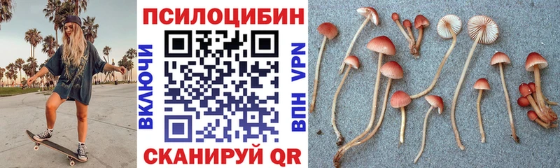 Галлюциногенные грибы Magic Shrooms  продажа наркотиков  Трёхгорный 